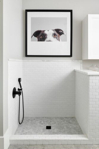 Pets in interior design: how to make their presence safe and comfortable while keeping your interior stylish