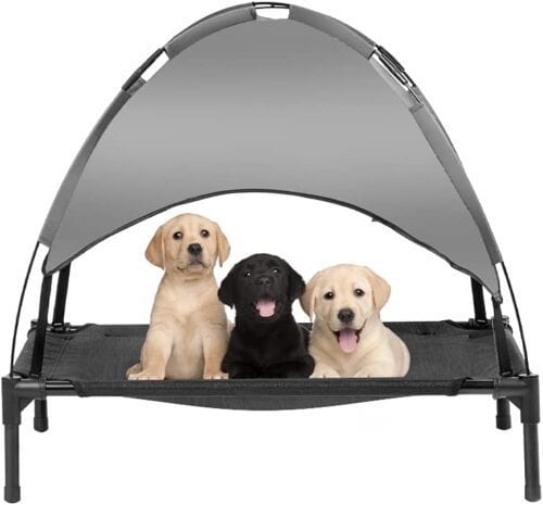 Pets in interior design: how to make their presence safe and comfortable while keeping your interior stylish
