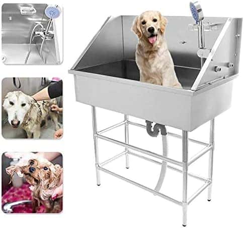 Pets in interior design: how to make their presence safe and comfortable while keeping your interior stylish