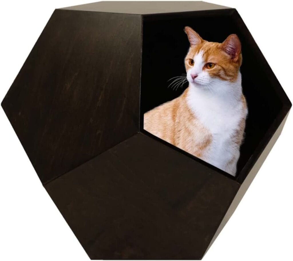 Pets in interior design: how to make their presence safe and comfortable while keeping your interior stylish