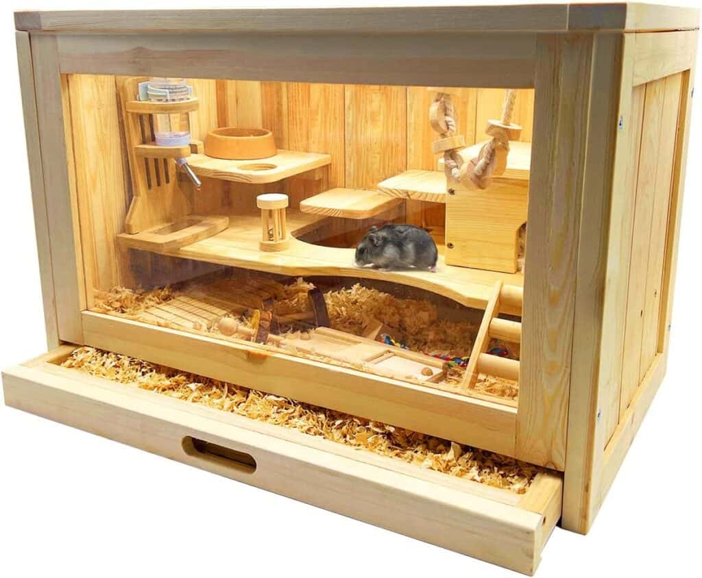 Pets in interior design: how to make their presence safe and comfortable while keeping your interior stylish