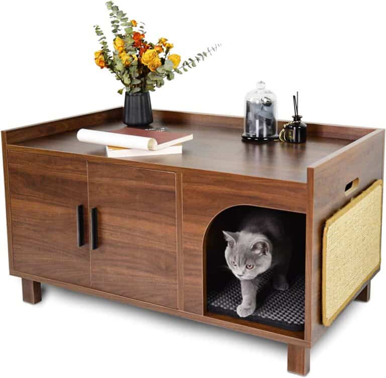 Pets in interior design: how to make their presence safe and comfortable while keeping your interior stylish