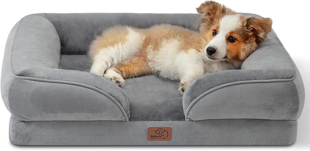 Pets in interior design: how to make their presence safe and comfortable while keeping your interior stylish