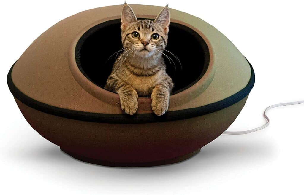 Pets in interior design: how to make their presence safe and comfortable while keeping your interior stylish