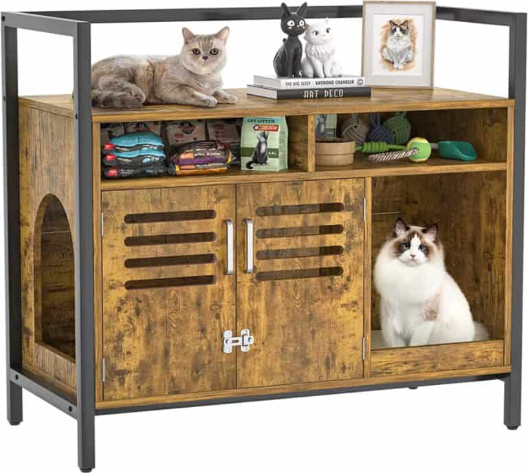 Pets in interior design: how to make their presence safe and comfortable while keeping your interior stylish