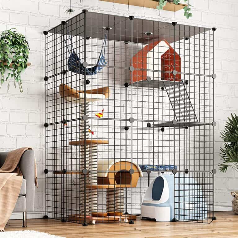 Pets in interior design: how to make their presence safe and comfortable while keeping your interior stylish