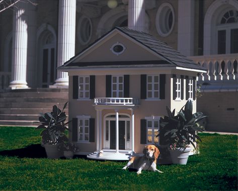 Pets in interior design: how to make their presence safe and comfortable while keeping your interior stylish