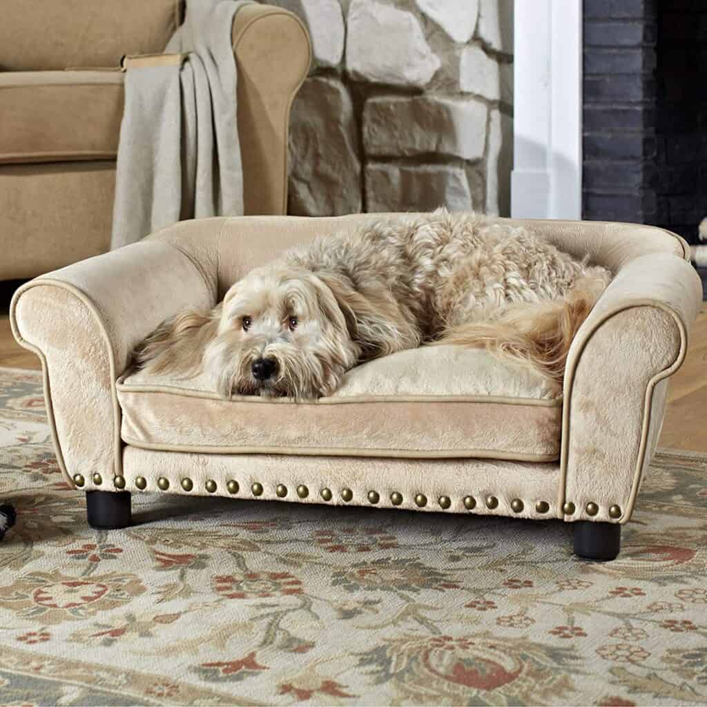 Pets in interior design: how to make their presence safe and comfortable while keeping your interior stylish