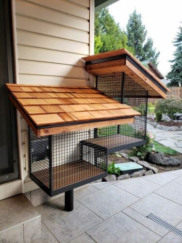 Pets in interior design: how to make their presence safe and comfortable while keeping your interior stylish