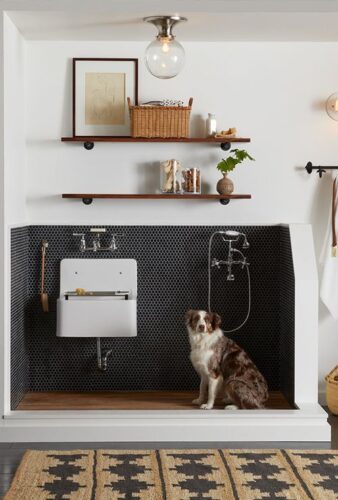 Pets in interior design: how to make their presence safe and comfortable while keeping your interior stylish