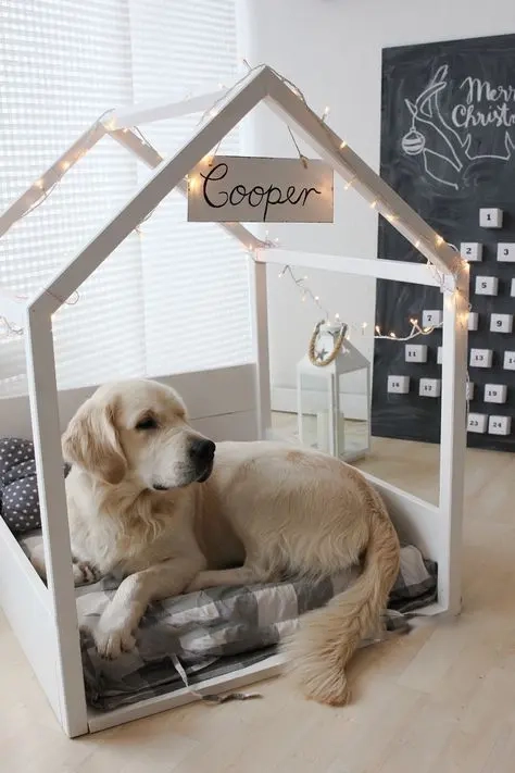 Pets in interior design: how to make their presence safe and comfortable while keeping your interior stylish