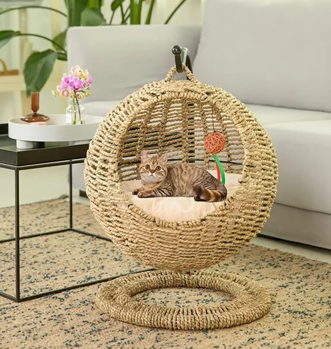 Pets in interior design: how to make their presence safe and comfortable while keeping your interior stylish