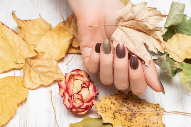 Autumn Nail Designs