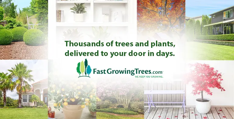 Discover the Leading Online Plant Nursery: Fast-Growing-Trees.com