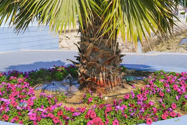 Palms of Paradise: Landscaping with Palm Trees