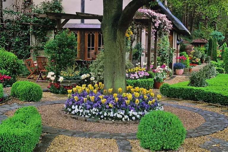 Unleash Your Creativity with Tree-Centric Landscaping
