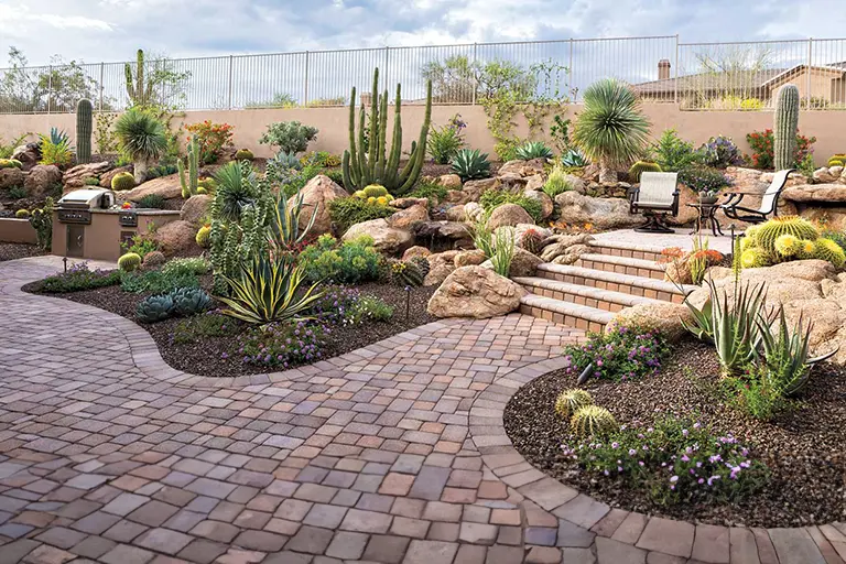 Xeriscaping Case Studies