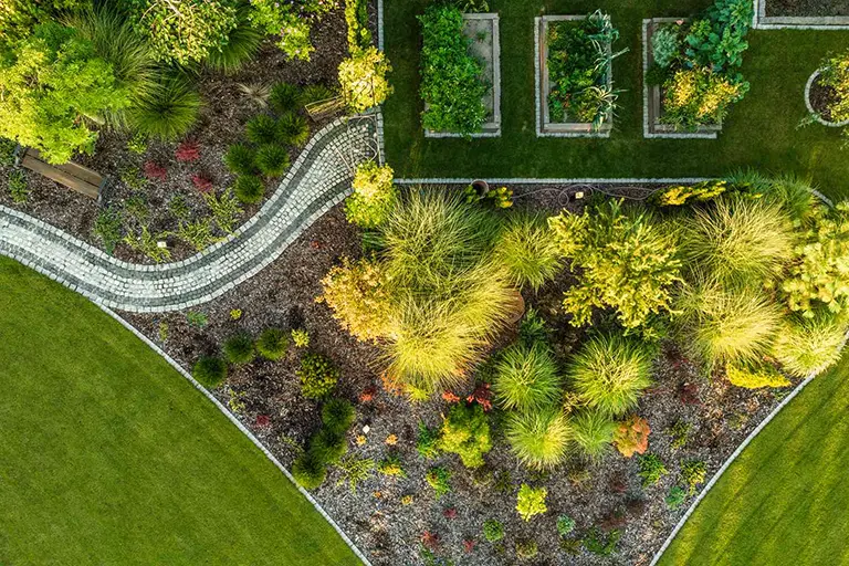 FAQ about Xeriscaping