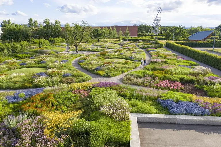 Redefining Sustainability: A Look at the Future of Landscaping