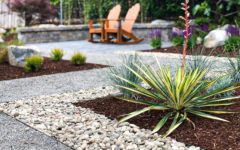 Cultivating Nature's Resilience