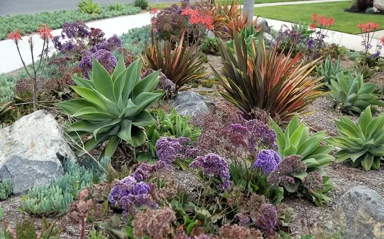 guide to xeriscape landscaping