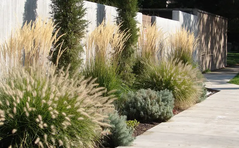 What is Xeriscaping?
