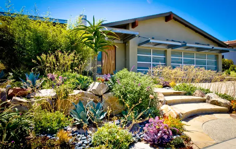 Overcoming Challenges in Xeriscaping