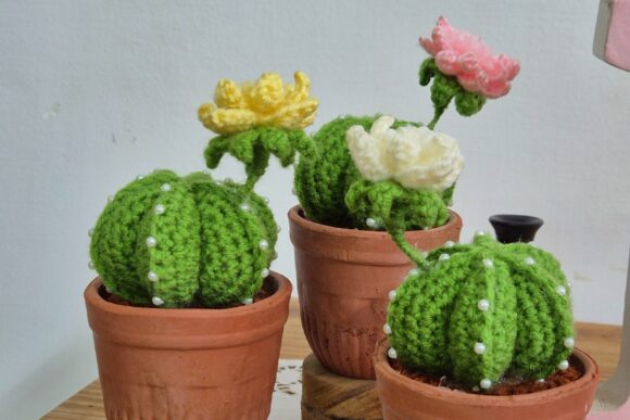 Crochet Pattern for Cactus Plant