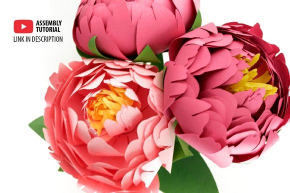 3D Paper Peony Flowers SVG