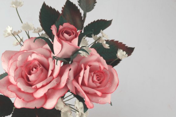 Paper Flower Rose, Rose Bud, Leaves & Stem SVG